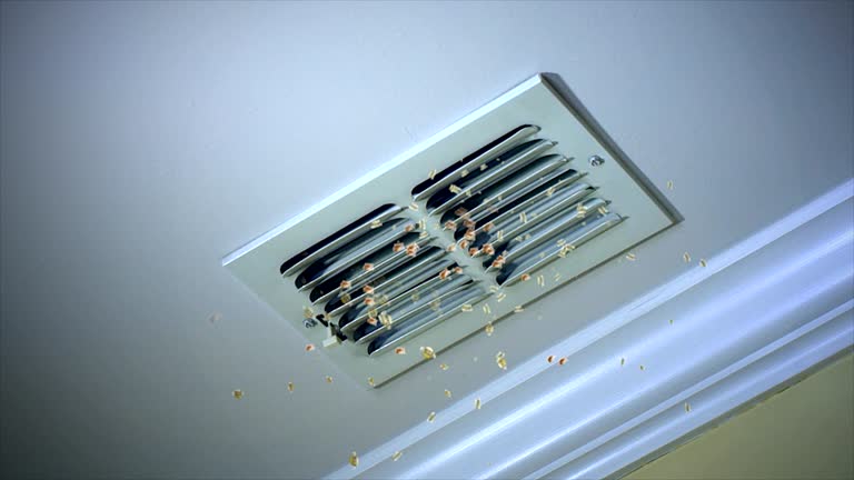 Best Commercial HVAC Duct Cleaning  in Racine, WI